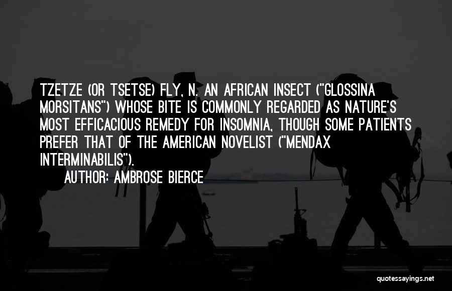 American Novelist Quotes By Ambrose Bierce