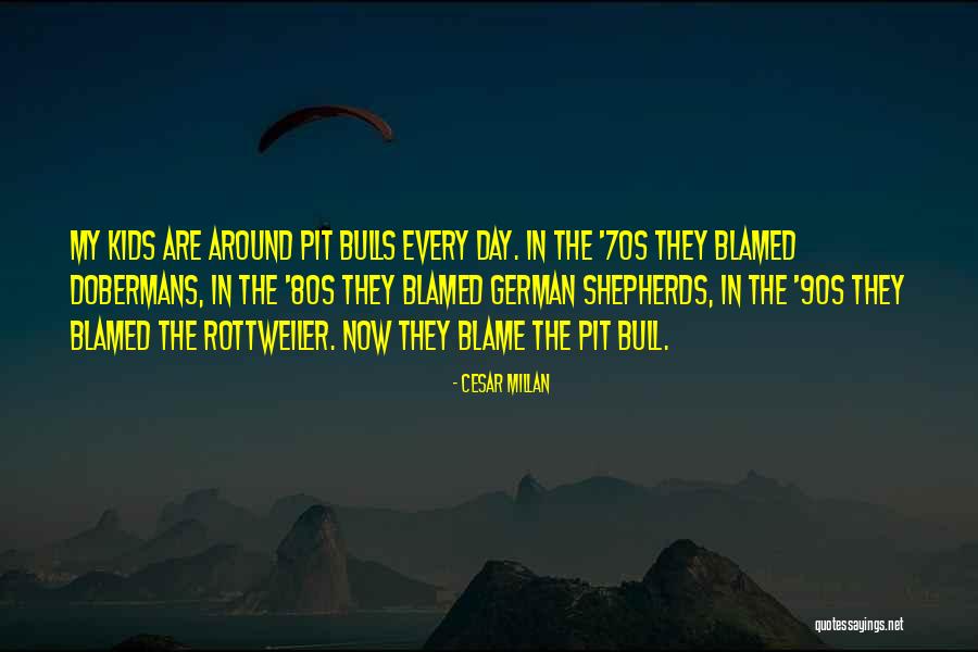 American Pit Bull Terriers Quotes By Cesar Millan American Pit Bull Terriers Quotes By Cesar Millan
