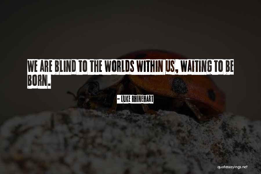 American Pit Bull Terriers Quotes By Luke Rhinehart