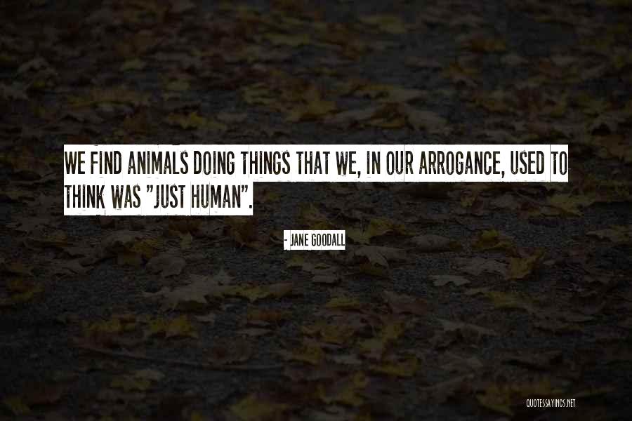 American Royalty Quotes By Jane Goodall American Royalty Quotes By Jane Goodall