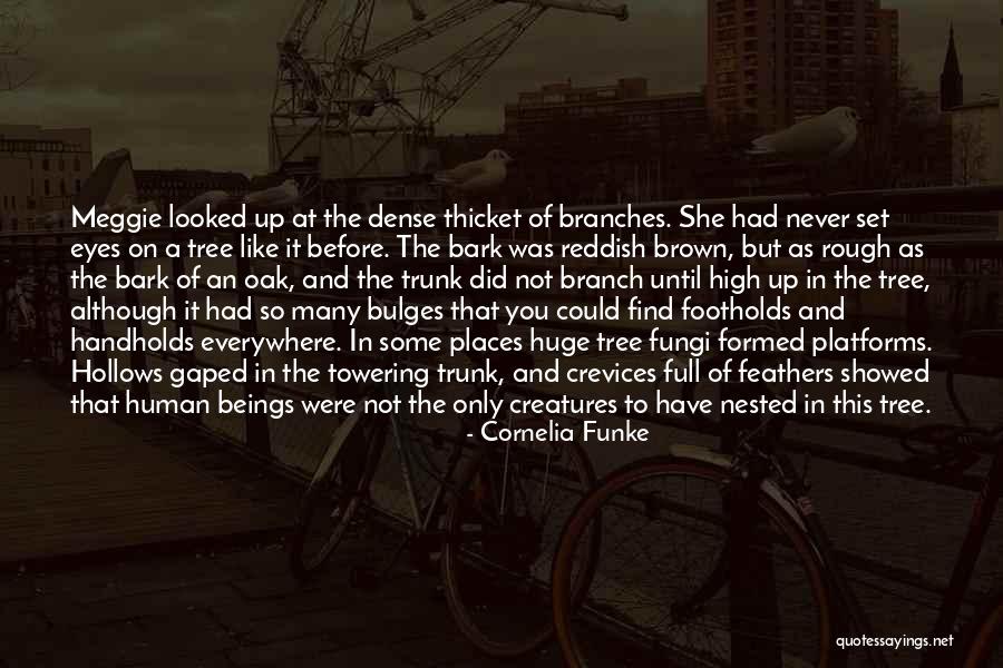 American Trucker Quotes By Cornelia Funke American Trucker Quotes By Cornelia Funke