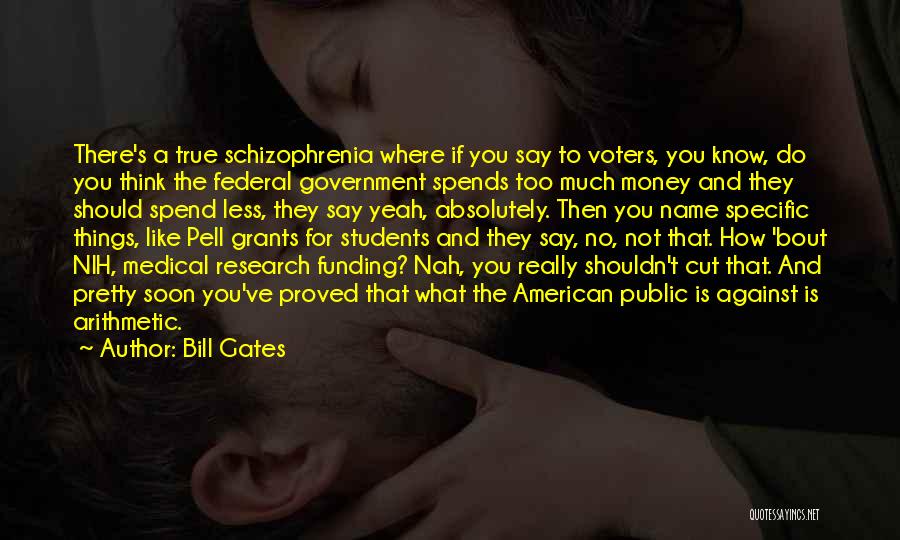 American Voters Quotes By Bill Gates