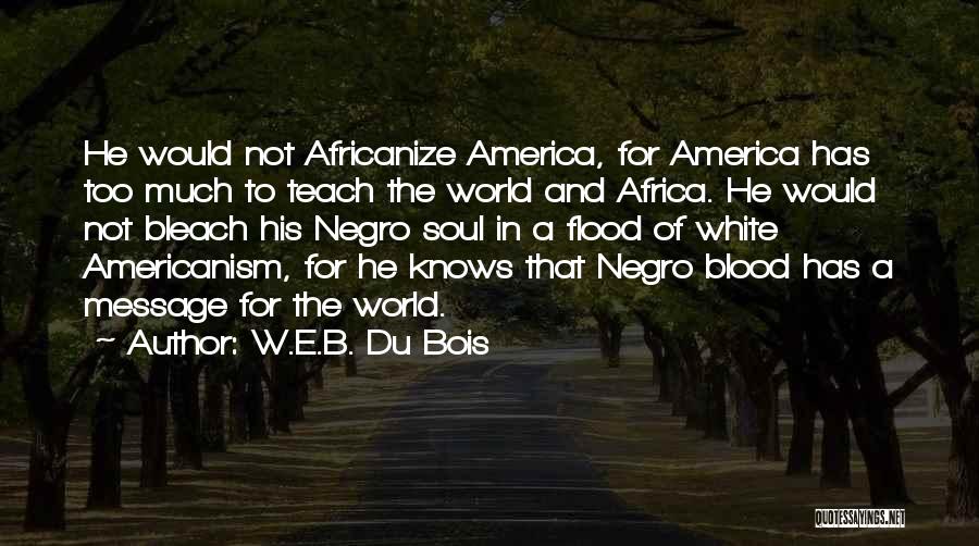 Americanism Quotes By W.E.B. Du Bois