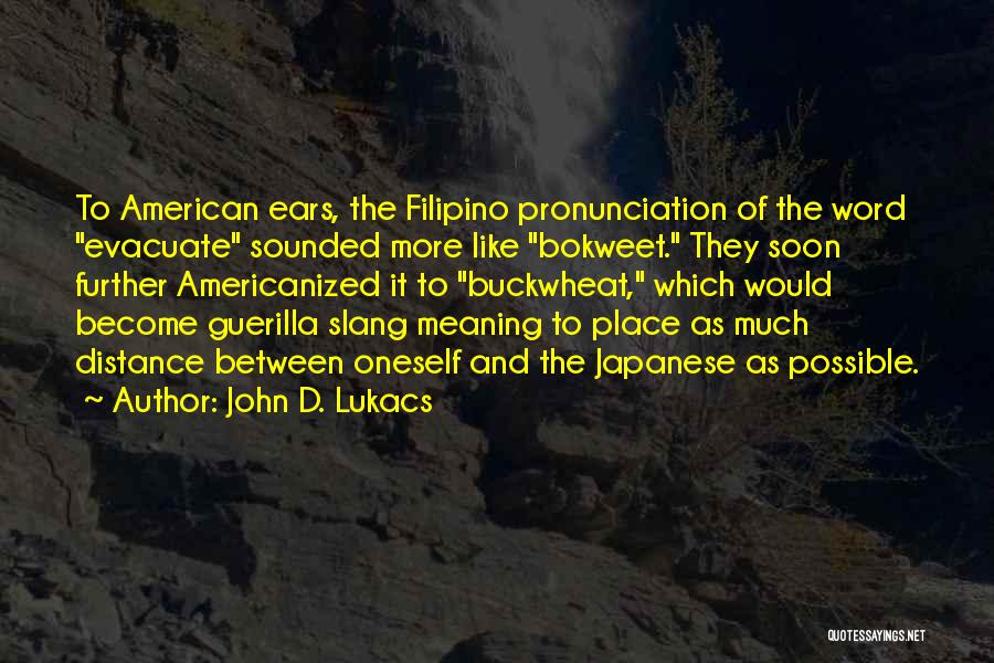 Americanized Quotes By John D. Lukacs