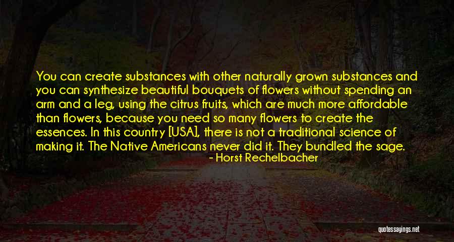 Americans Need Quotes By Horst Rechelbacher Americans Need Quotes By Horst Rechelbacher