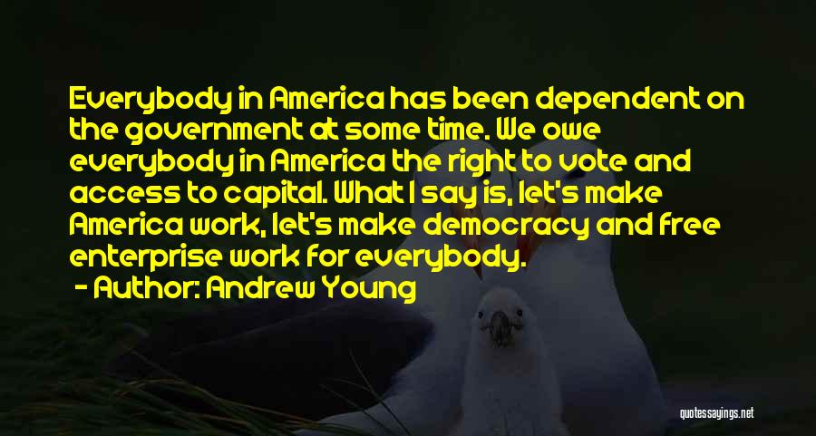 America's Democracy Quotes By Andrew Young