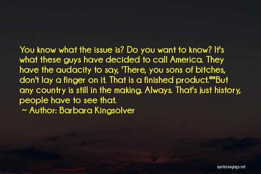 America's Diversity Quotes By Barbara Kingsolver