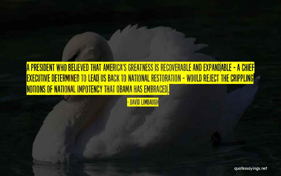 America's Greatness Quotes By David Limbaugh America's Greatness Quotes By David Limbaugh