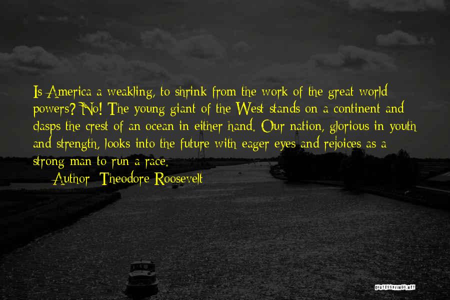 America's Strength Quotes By Theodore Roosevelt