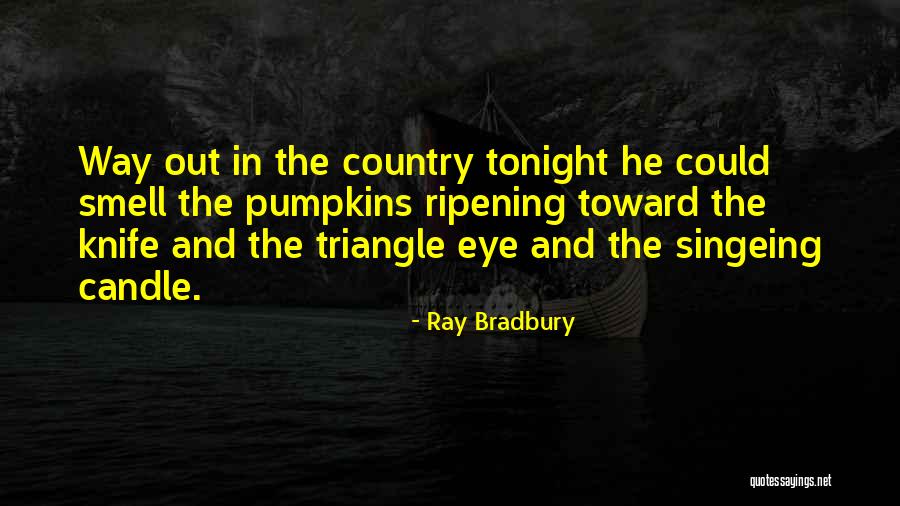 Amerikaanse Quotes By Ray Bradbury Amerikaanse Quotes By Ray Bradbury