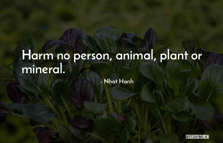 Amerikada Quotes By Nhat Hanh Amerikada Quotes By Nhat Hanh