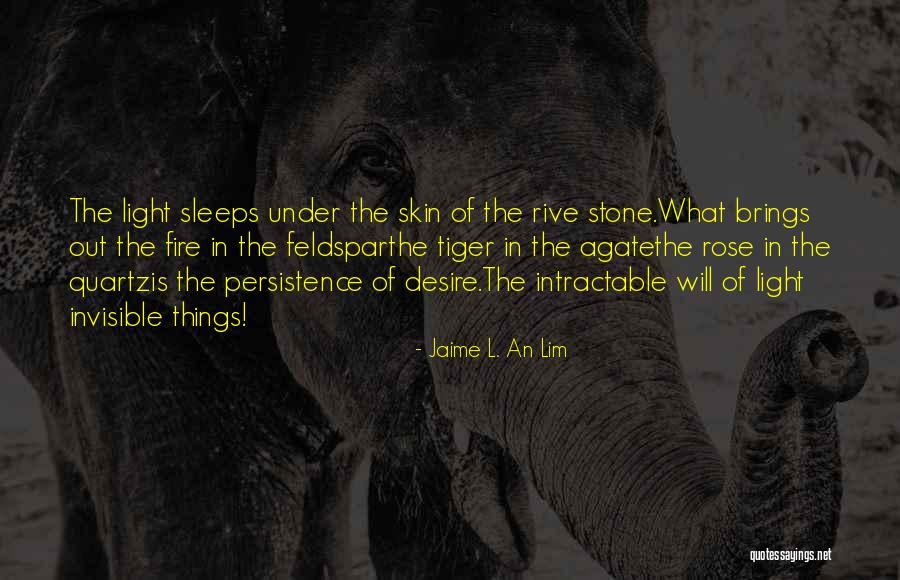 Amerikkkan Quotes By Jaime L. An Lim Amerikkkan Quotes By Jaime L. An Lim