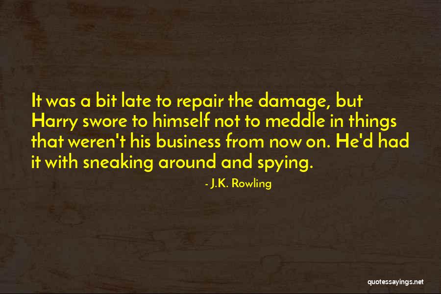 Amerson Park Quotes By J.K. Rowling Amerson Park Quotes By J.K. Rowling