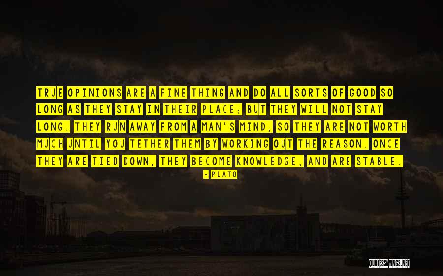 Amertume Excessive Quotes By Plato Amertume Excessive Quotes By Plato