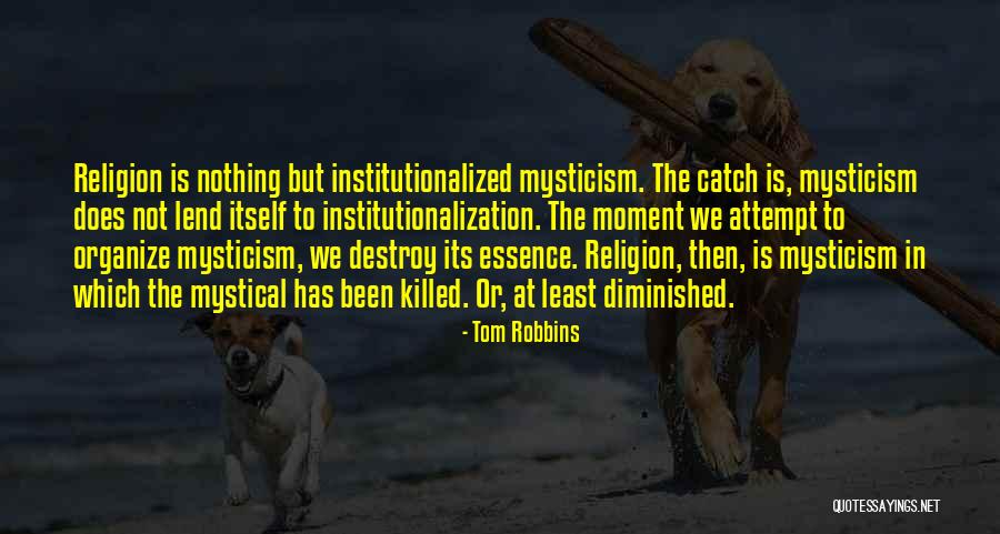 Amertume Synonyme Quotes By Tom Robbins Amertume Synonyme Quotes By Tom Robbins