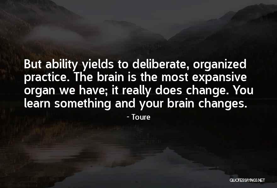 Amerykanie Pochodzenia Quotes By Toure Amerykanie Pochodzenia Quotes By Toure