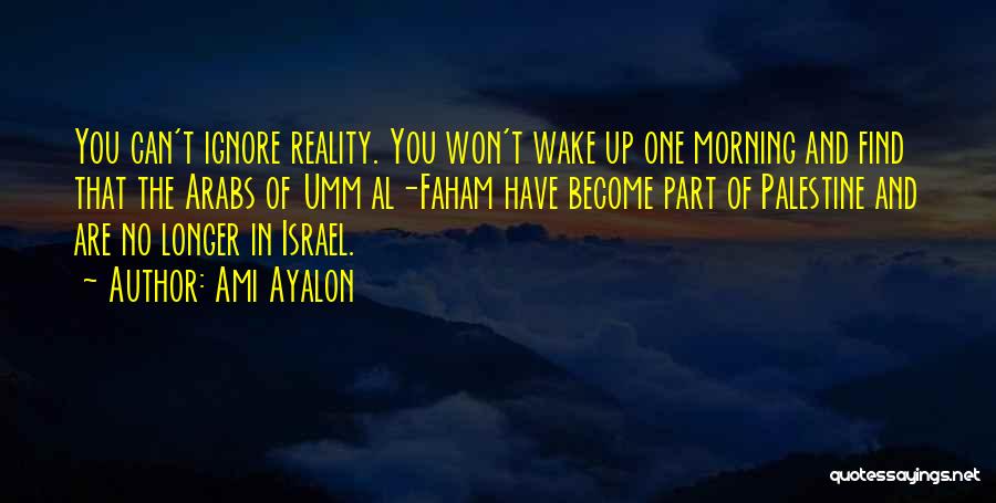 Ami Ayalon Quotes 1091302