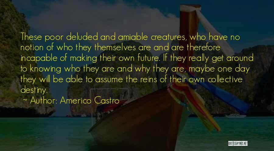 Amiable Quotes By Americo Castro