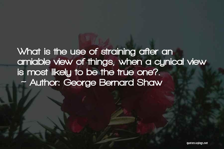 Amiable Quotes By George Bernard Shaw