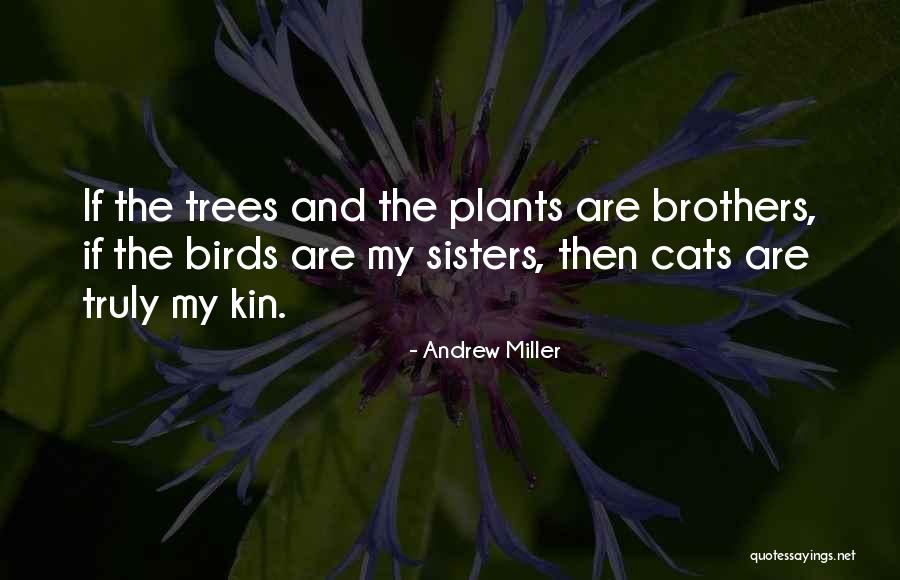 Amiantit Ess Quotes By Andrew Miller Amiantit Ess Quotes By Andrew Miller