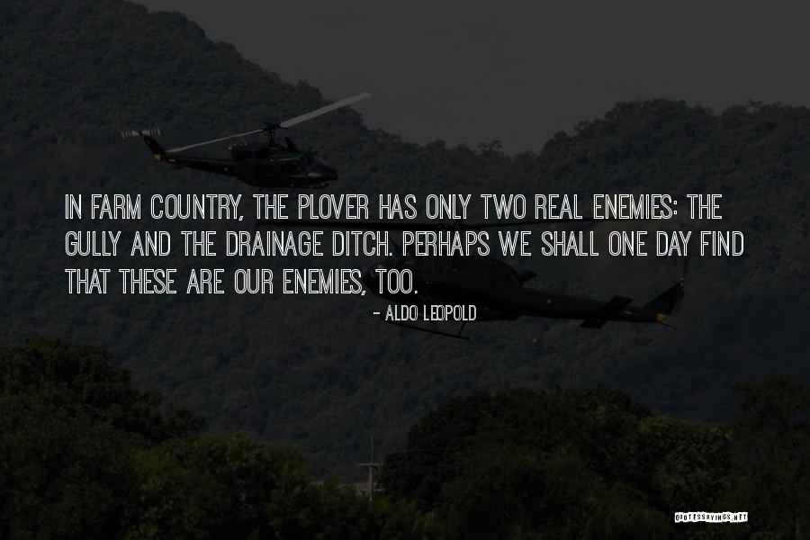 Amici Wine Quotes By Aldo Leopold Amici Wine Quotes By Aldo Leopold
