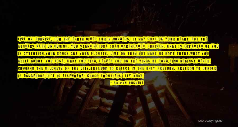 Amid Chaos Quotes By Salman Rushdie Amid Chaos Quotes By Salman Rushdie