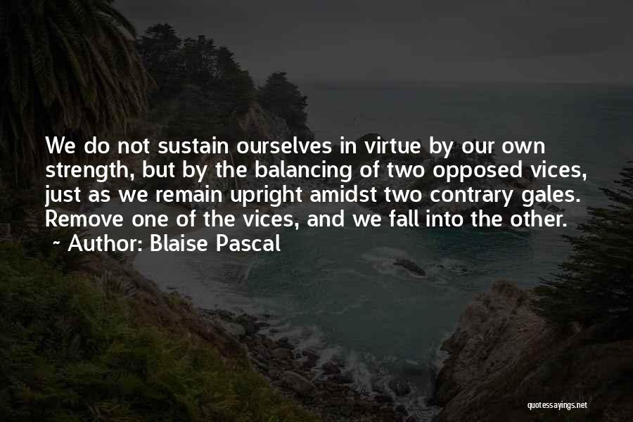 Amidst Quotes By Blaise Pascal