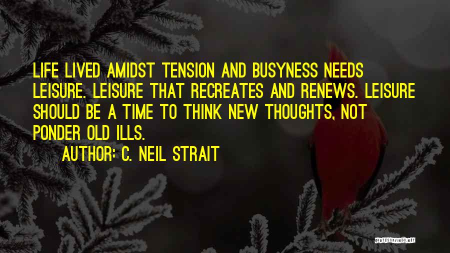 Amidst Quotes By C. Neil Strait