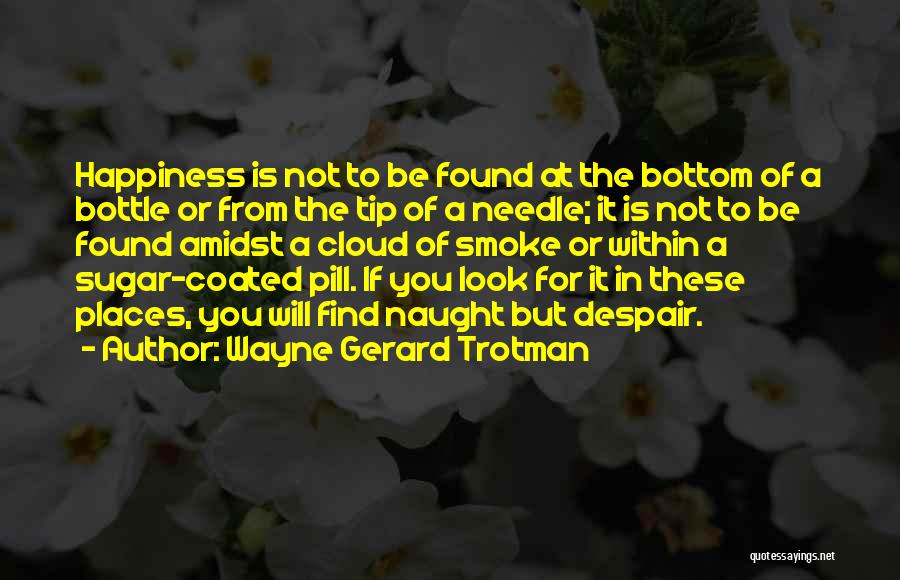 Amidst Quotes By Wayne Gerard Trotman