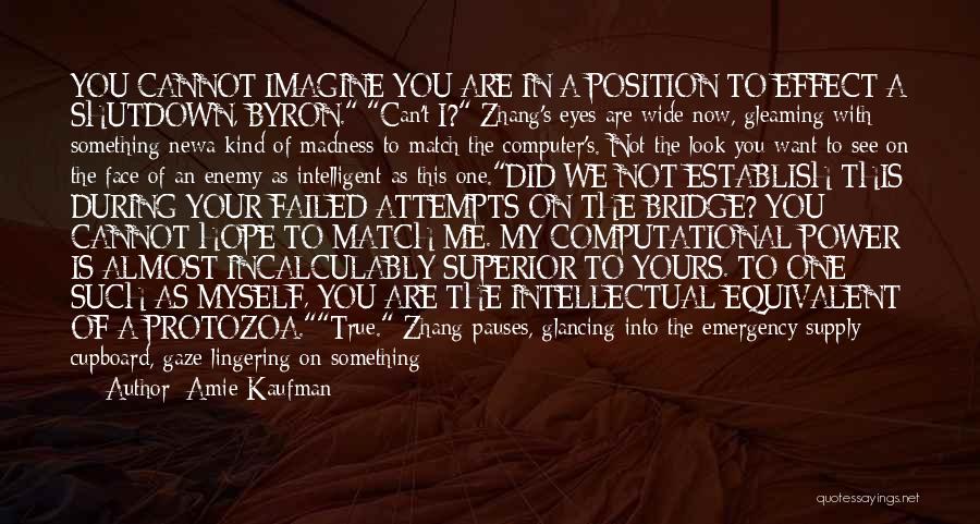 Amie Kaufman Quotes 2088095