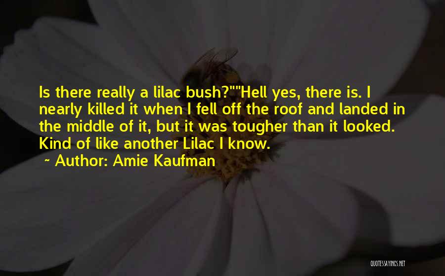 Amie Kaufman Quotes 846850