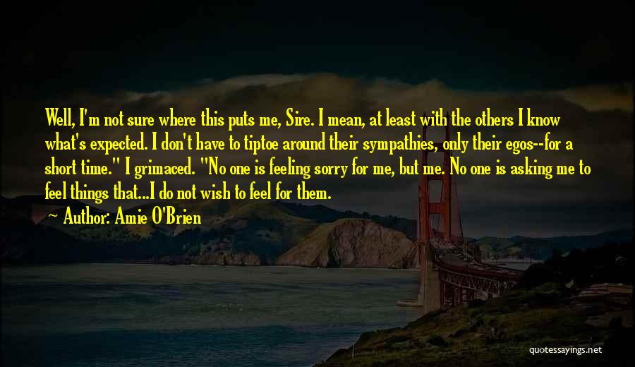 Amie O'Brien Quotes 463147