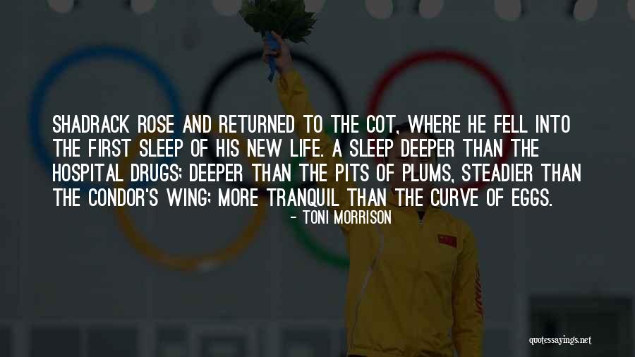 Amighettis Bakery Quotes By Toni Morrison Amighettis Bakery Quotes By Toni Morrison