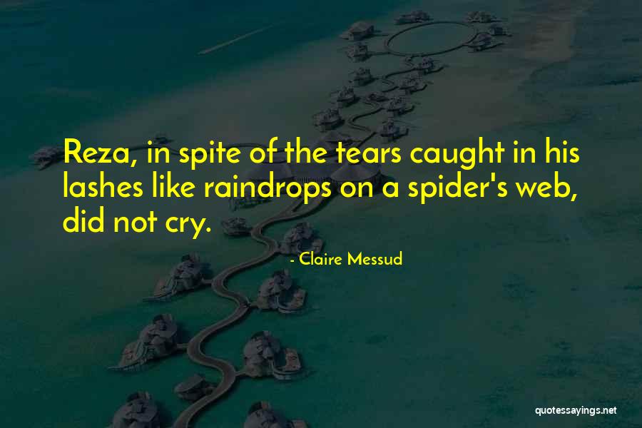 Amigos Especiales Quotes By Claire Messud Amigos Especiales Quotes By Claire Messud