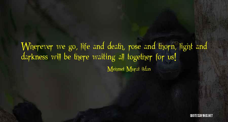 Amine 31 Quotes By Mehmet Murat Ildan Amine 31 Quotes By Mehmet Murat Ildan