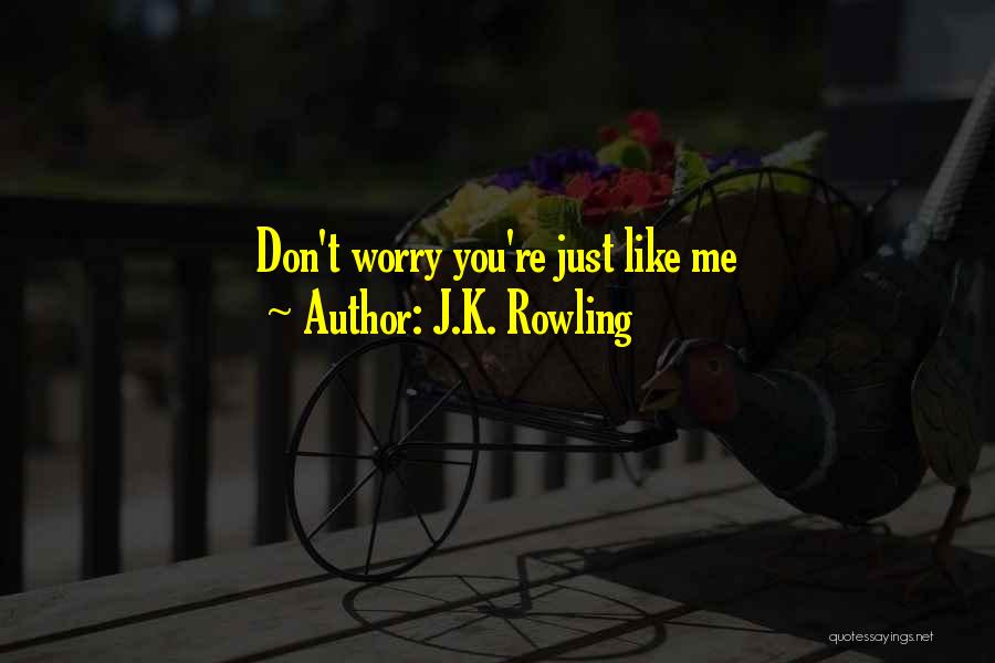 Aminian Zatari Quotes By J.K. Rowling