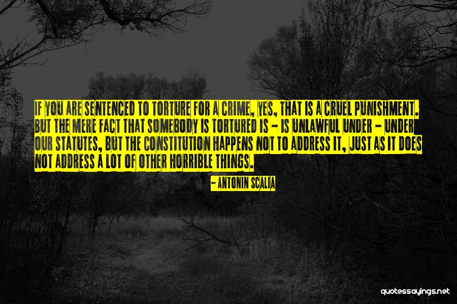 Amip Management Quotes By Antonin Scalia Amip Management Quotes By Antonin Scalia