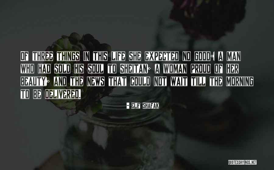 Amip Management Quotes By Elif Shafak Amip Management Quotes By Elif Shafak