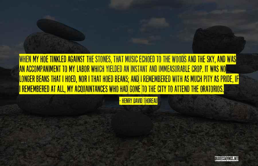 Amir And Hassans Friendship Quotes By Henry David Thoreau Amir And Hassans Friendship Quotes By Henry David Thoreau