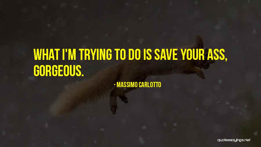 Amir Jalali Md Quotes By Massimo Carlotto Amir Jalali Md Quotes By Massimo Carlotto