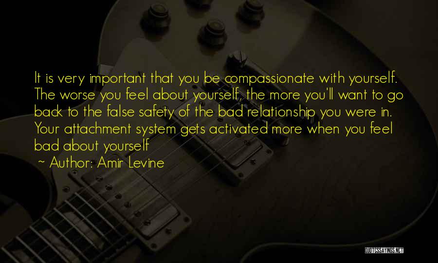 Amir Levine Quotes 560263