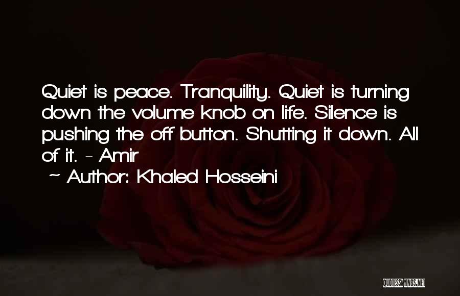 Amir Quotes By Khaled Hosseini