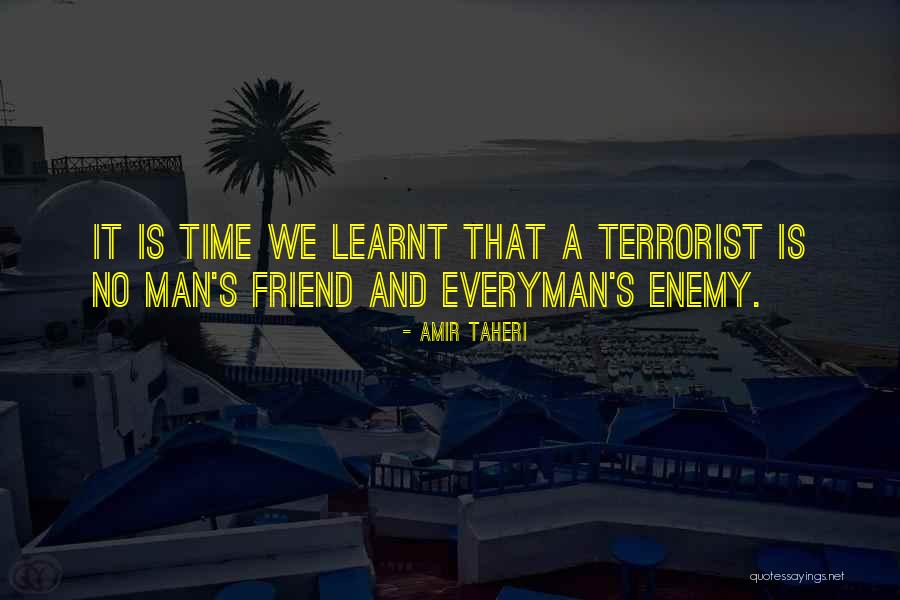 Amir Taheri Quotes 1270130