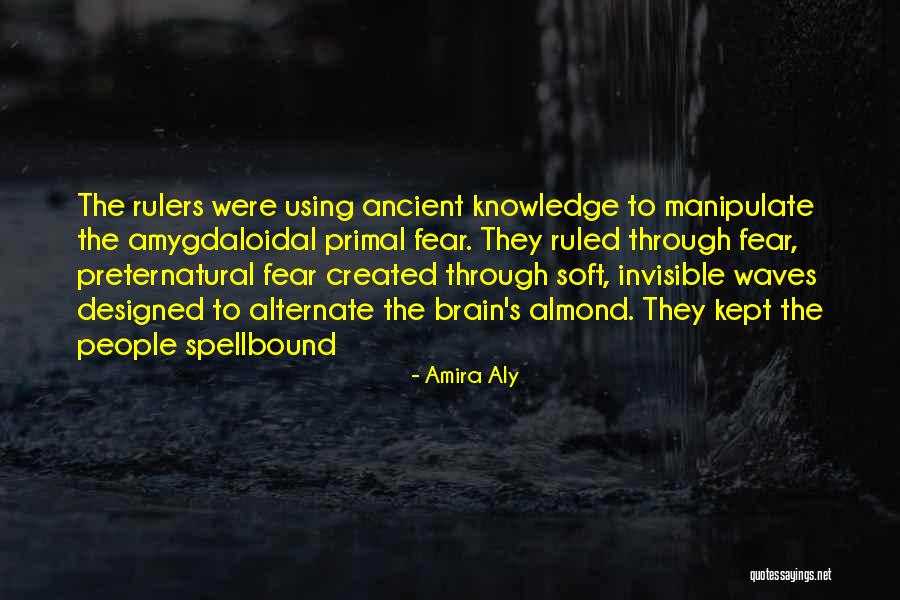 Amira Aly Quotes 741781 Amira Aly Quotes 741781