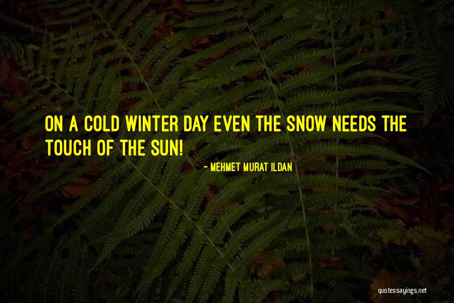 Amira Willighagen Quotes By Mehmet Murat Ildan