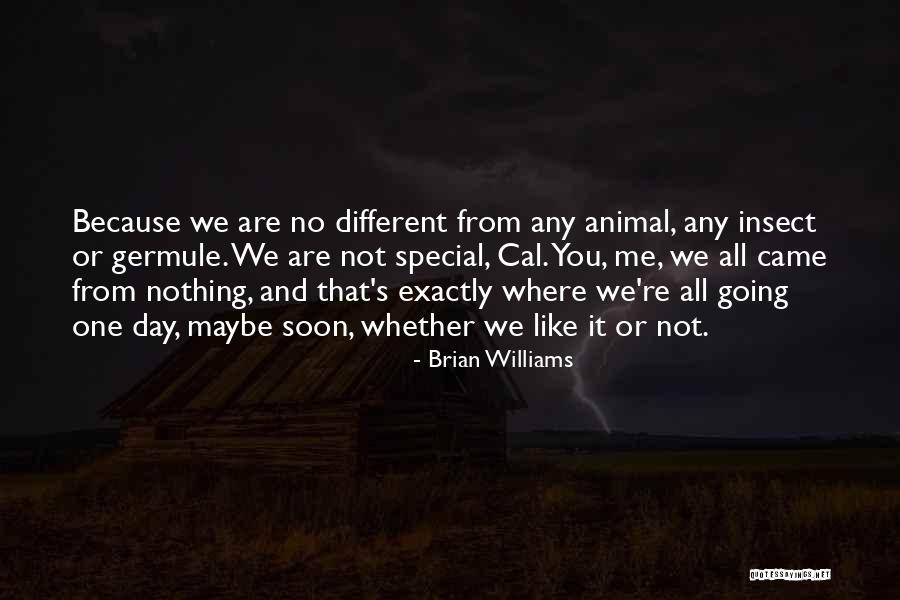 Amirliaquatnaat Quotes By Brian Williams Amirliaquatnaat Quotes By Brian Williams