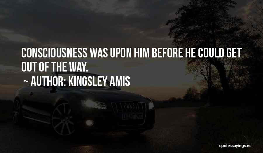 Amis Kingsley Quotes By Kingsley Amis