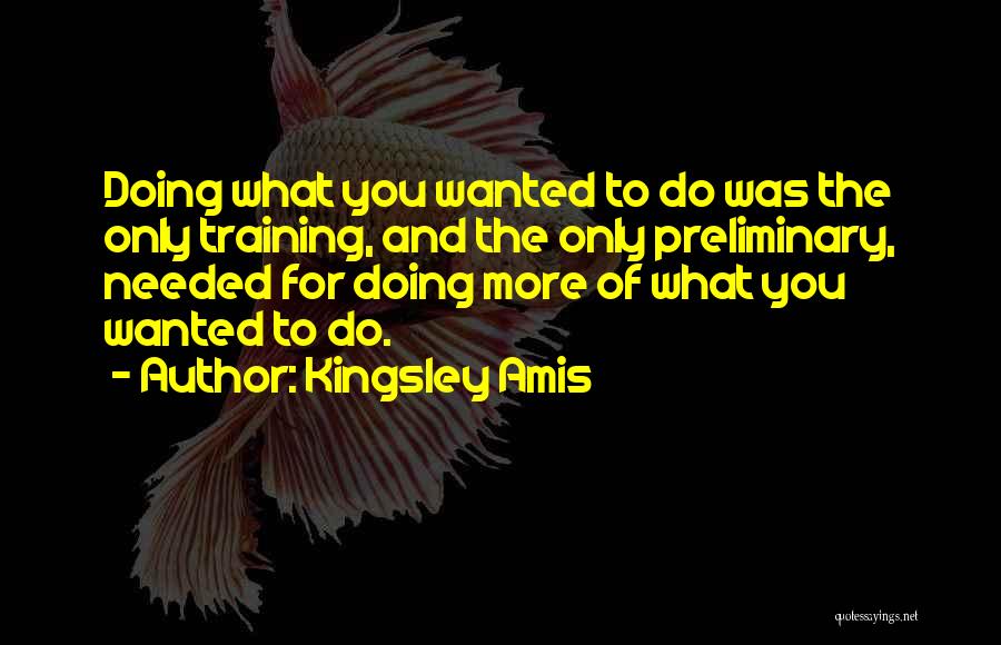 Amis Kingsley Quotes By Kingsley Amis