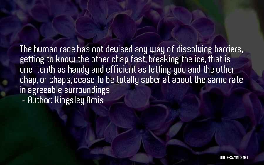 Amis Kingsley Quotes By Kingsley Amis