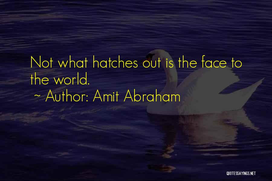 Amit Abraham Quotes 1276852